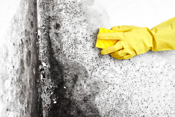 Water Damage Restoration in Inola, OK