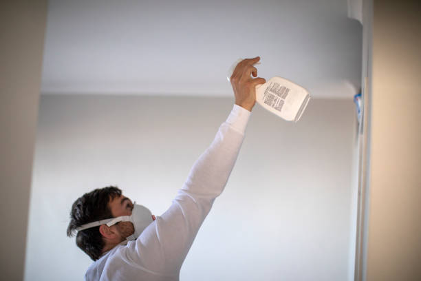 Best Commercial Mold Removal  in Inola, OK