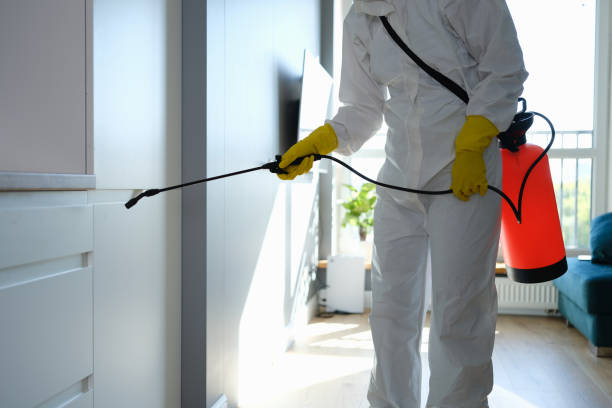 Best Local Mold Removal Service  in Inola, OK