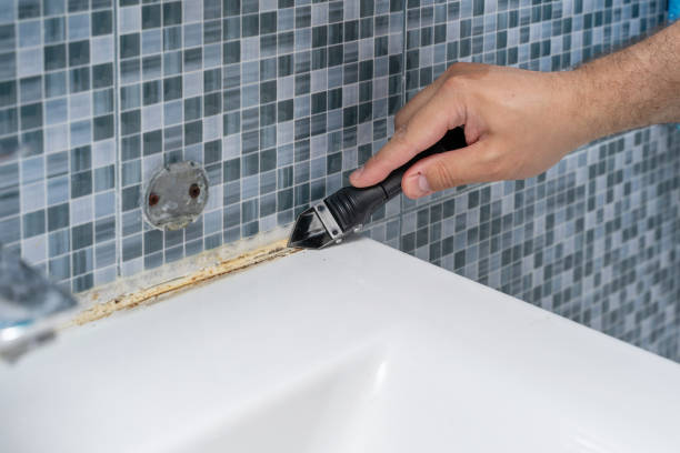 Best Mold Remediation  in Inola, OK